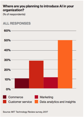 Where are you planning to introduce AI in your organisation?