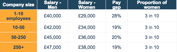 Technology gender gap - by company size